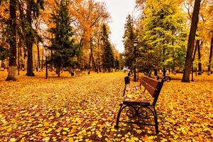 Golden autumn in a city park with trees and fallen leaves on a cloudy day. photo