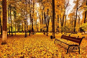 Golden autumn in a city park with trees and fallen leaves on a cloudy day. photo