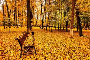 Golden autumn in a city park with trees and fallen leaves on a cloudy day. photo