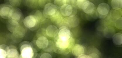 Blurred bokeh background image of bright green foliage in spring. photo
