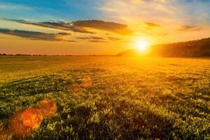 Sunset or sunrise in a spring field with green grass, willow trees and cloudy sky. photo
