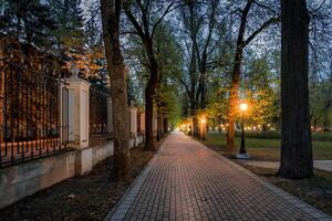 City night park in early summer or spring with pavement, lanterns, young green leaves and trees. photo