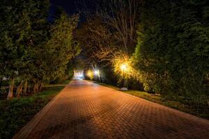 City night park in early summer or spring with pavement, lanterns, young green leaves and trees. photo