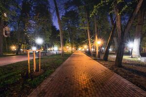 City night park in early summer or spring with pavement, lanterns, young green leaves and trees. photo
