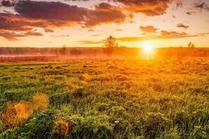 Sunrise in a spring field with green grass, lupine sprouts, fog on the horizon, cloudy sky. photo
