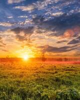 Sunrise in a spring field with green grass, lupine sprouts, fog on the horizon, cloudy sky. photo