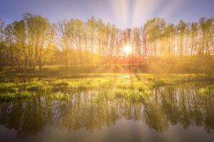 Sunrise near a pond with birches on the shore and fog over the water on a spring morning. Sun rays breaking through trees. photo