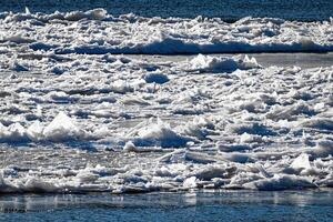 Melting ice floating on the river on a spring day. Cracked ice texture. photo