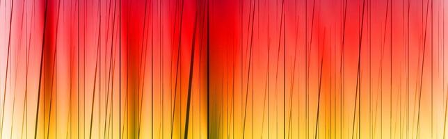 Rainbow colors gradient abstract background. photo
