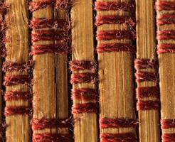 Texture of old bamboo branches with threads. photo