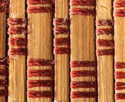 Texture of old bamboo branches with threads. photo