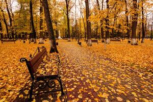 Leaf fall in the park in autumn with bench. photo