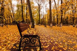 Leaf fall in the park in autumn with bench. photo