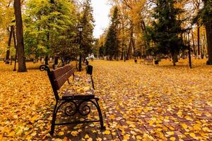 Leaf fall in the park in autumn with bench. photo