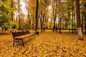 Leaf fall in the park in autumn with bench. photo