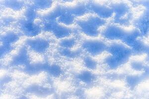Snow texture at sunny winter day. Abstract background. photo