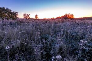 Twilight on a field covered with frost in early autumn morning. photo