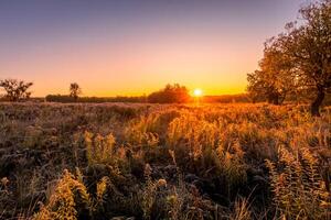 Scene of sunrise on a field covered with frost in early autumn morning. photo