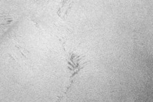 Texture of gray decorative plaster. photo