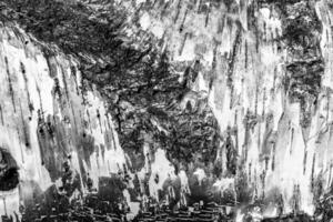 The bark of old birch tree texture. photo