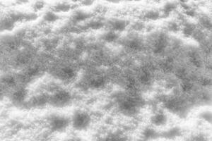 Snow texture at sunny winter day. Abstract background. photo