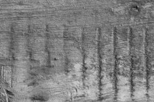 Monochrome texture of a board. Abstract background. photo