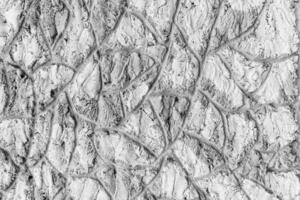 Stone or concrete wall texture background. photo