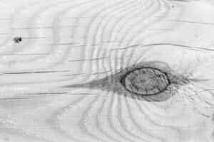 Wooden log as a background texture. photo