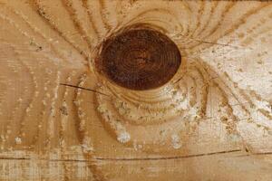 Wooden log of pine as a background texture. photo