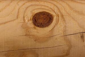 Wooden log of pine as a background texture. photo