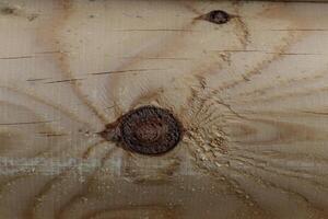 Wooden log of pine as a background texture. photo