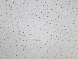 Paper texture. White color paper background. photo