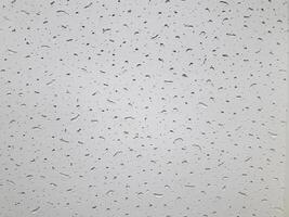 Paper texture. White color paper background. photo