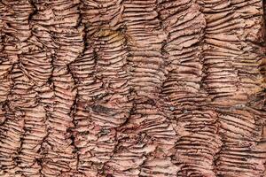 Stone or concrete wall texture background. photo