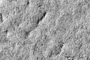 Black and white cardboard texture. Abstract background for design. photo