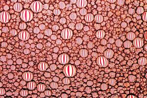 Top view on colorful drops of oil on the water. Circles and ovals. Abstract red background for design. photo