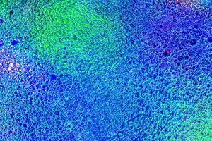 Top view on a colorful drops of oil on the water. Rainbow or spectrum colored circles, ovals. photo