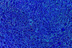 Top view on colorful drops of oil on the water. Blue circles and ovals. Abstract bright background for design. photo