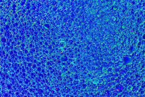 Top view on colorful drops of oil on the water. Blue circles and ovals. Abstract bright background for design. photo