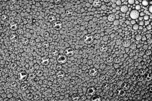 Black and white drops of oil on the water. Circles and ovals. Abstract background for design. photo