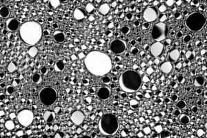 Black and white drops of oil on the water. Circles and ovals. Abstract background for design. photo