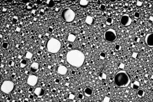 Black and white drops of oil on the water. Circles and ovals. Abstract background for design. photo