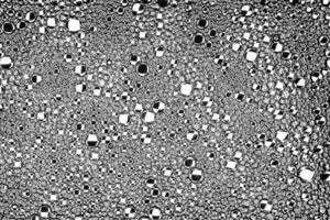 Black and white drops of oil on the water. Circles and ovals. Abstract background for design. photo