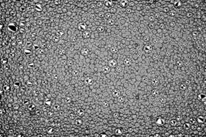 Black and white drops of oil on the water. Circles and ovals. Abstract background for design. photo