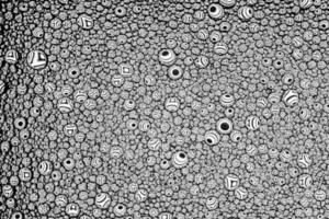 Black and white drops of oil on the water. Circles and ovals. Abstract background for design. photo