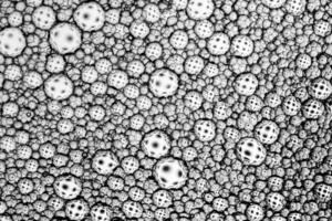 Black and white drops of oil on the water. Circles and ovals. Abstract background for design. photo