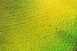 Fragment of colored graffiti painted on a wall. Bright abstract background. photo