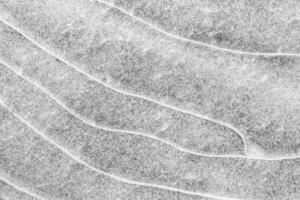 Texture of ice in the winter. Abstract background of frost for design, photographed closeup. photo