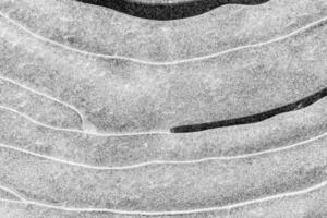 Texture of ice in the winter. Abstract background of frost for design, photographed closeup. photo