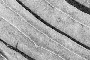 Texture of ice in the winter. Abstract background of frost for design, photographed closeup. photo